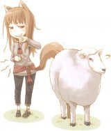 BUY NEW spice and wolf - 185722 Premium Anime Print Poster